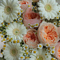 “Spring Meadow” Trio Bouquet