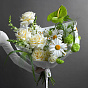 “Camomilla” Signature Bouquet