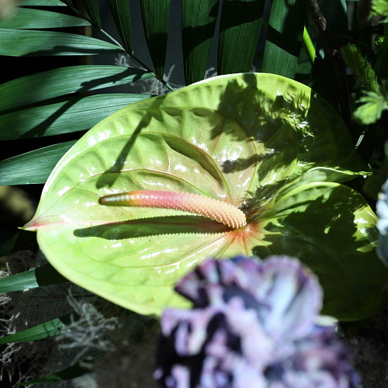 Interior Composition 20