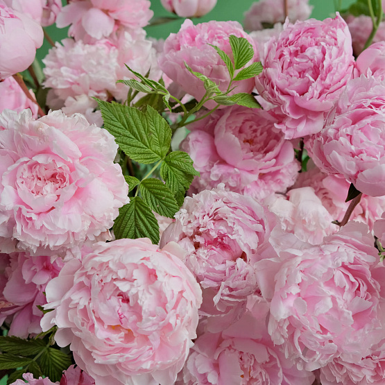 “Peony Boom” Flower Basket