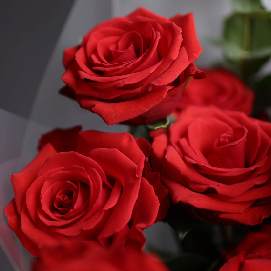 Nina Rose and Eucalyptus Mono Bouquet