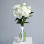 White peonies