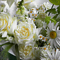 “Camomilla” Signature Bouquet