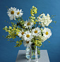 “Sunny Bunny” Bouquet