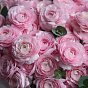Pink Ranunkulyus Mono Bouquet