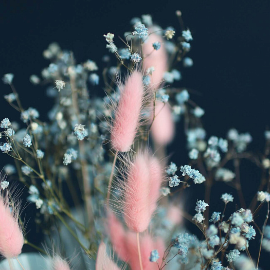 Dried Flowers Composition