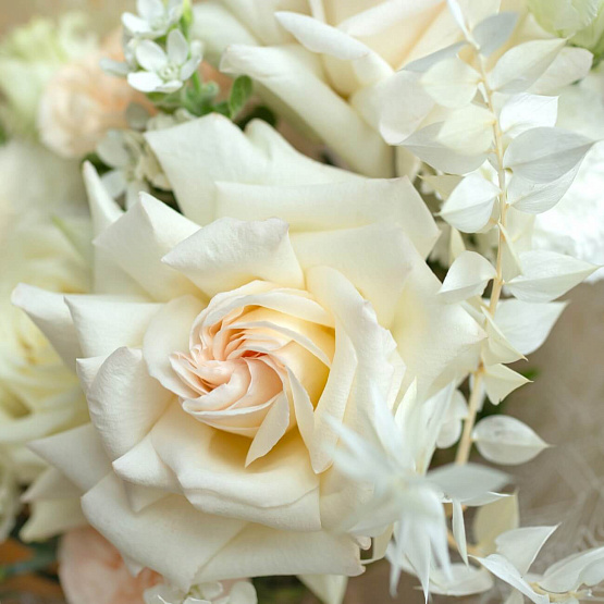 “Timid Tenderness” Bouquet