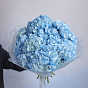 Blue Hydrangea