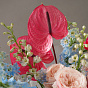 “Gentle Radiance” Signature Bouquet