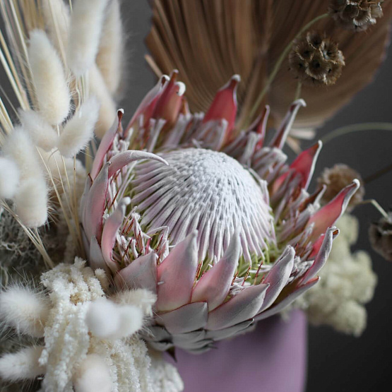 “Flamingo” Dried Flower Composition