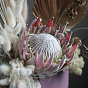 “Flamingo” Dried Flower Composition