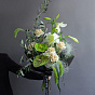 “Dionysus” Signature Bouquet