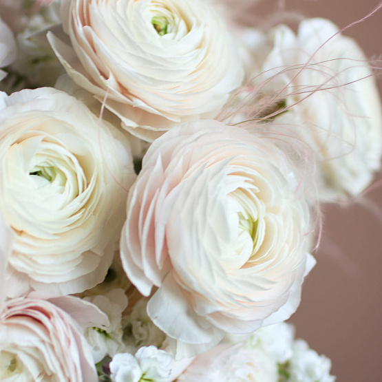 “Delicacy” Hatbox