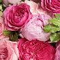 Peonies and Garden Roses Duo Bouquet