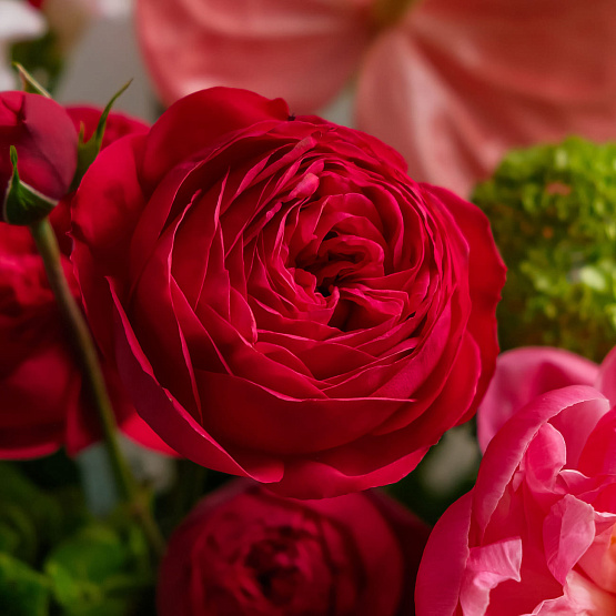 “Lingonberry In The Garden” Signature Bouquet