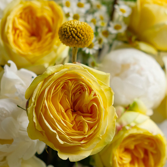 “Fresh Meadows” Trio Bouquet