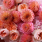 “Juicy Peach” Trio Bouquet