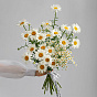 “Chamomile Tea” Duo Bouquet