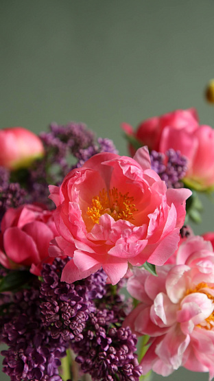 Сет «Восточные пряности»