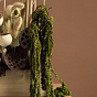 Dried Flower Composition Green