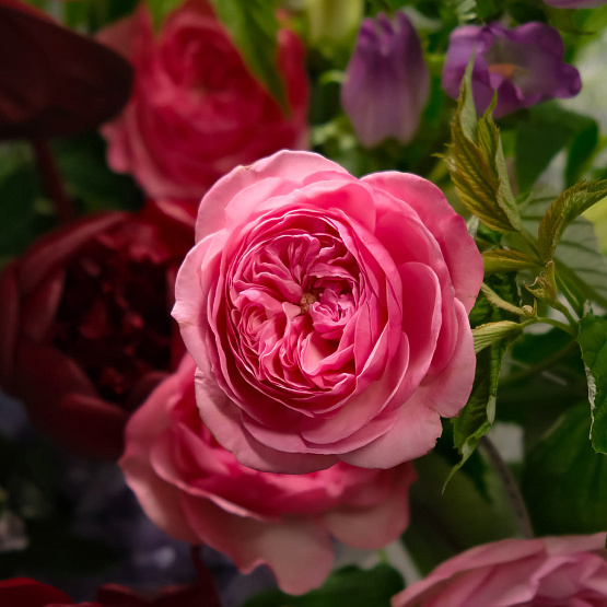 Букет «Восточная мудрость»