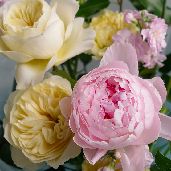 “Sugar Meringue” Trio Bouquet