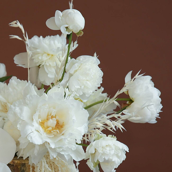 Composition with Phalaenopsis