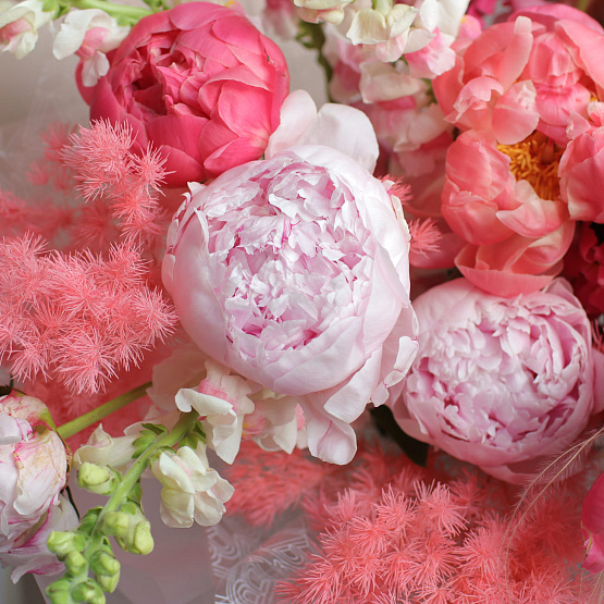 “Cherry Sorbet” Trio Bouquet
