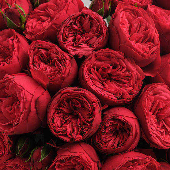 “Ardent Heart” Bouquet