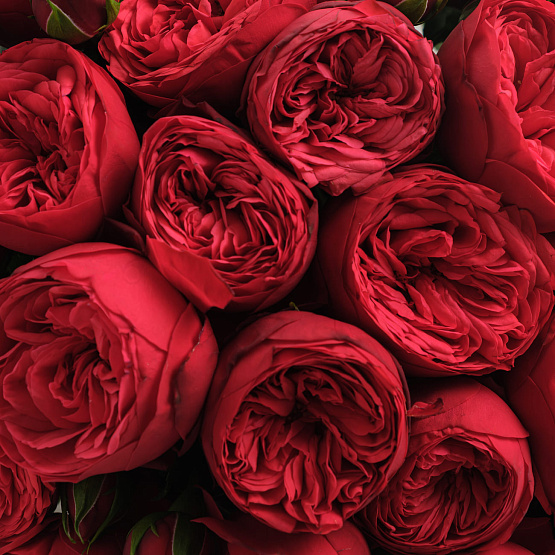 “Ardent Heart” Bouquet