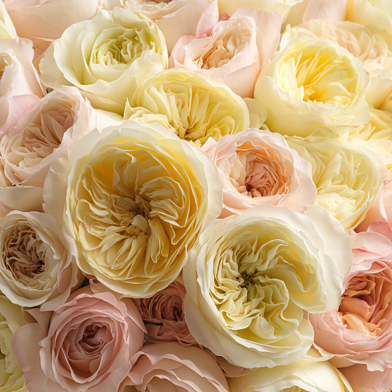 “Heart flutter” Mono Bouquet