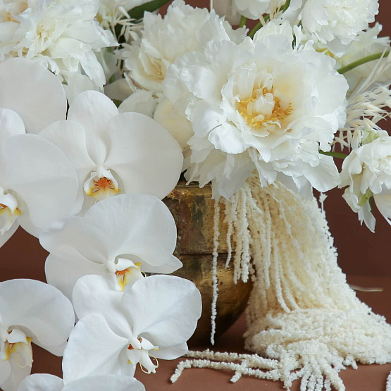 Composition with Phalaenopsis