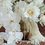Composition with Phalaenopsis