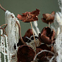 White Composition