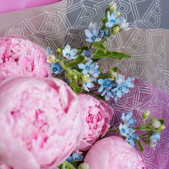 Peonies “Sarah Bernhardt” and Oxypetalum Bouquet