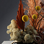 Dried Flower Composition Orange