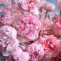 “Barbie's Dream” Flower Box