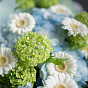 “Alpine Meadow” Trio Bouquet