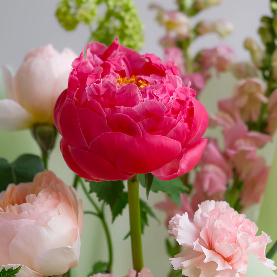 “Sugar Meringue” Trio Bouquet