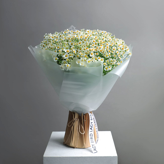 Монобукет из танацетума