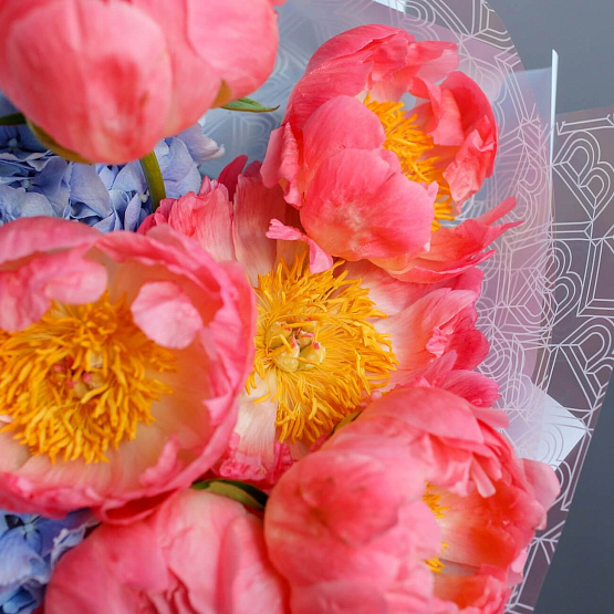 Peonies “Coral Charm” and Hydrangea Bouquet