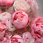 “Sugar Meringue” Trio Bouquet