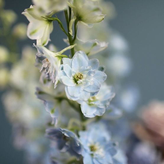 “Shadows In Paradise” Flower Basket