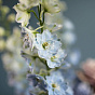 “Shadows In Paradise” Flower Basket