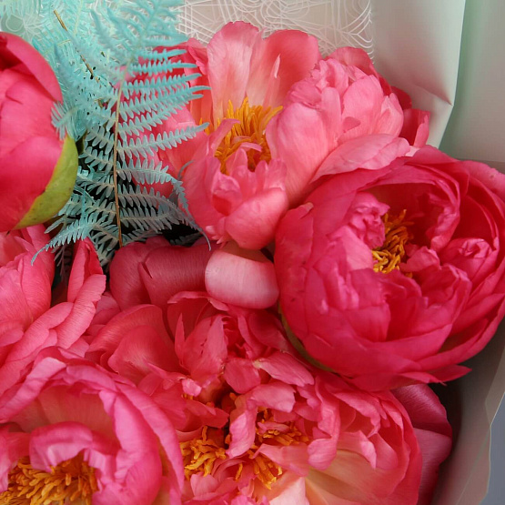 Simple пионы Coral Charm