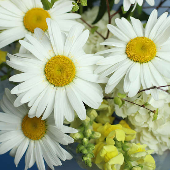“Sunny Bunny” Bouquet