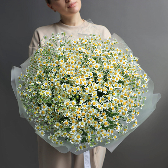 Монобукет из танацетума