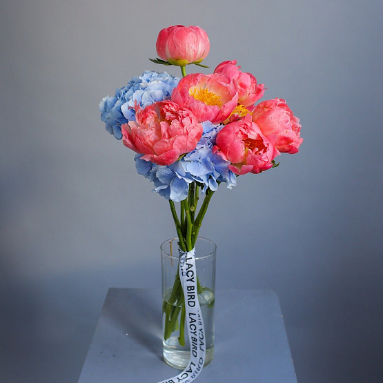 Peonies “Coral Charm” and Hydrangea Bouquet