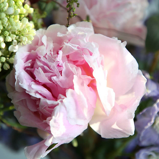 Сет «Сад скульптур»