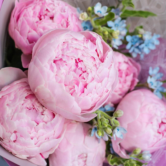 Peonies “Sarah Bernhardt” and Oxypetalum Bouquet
